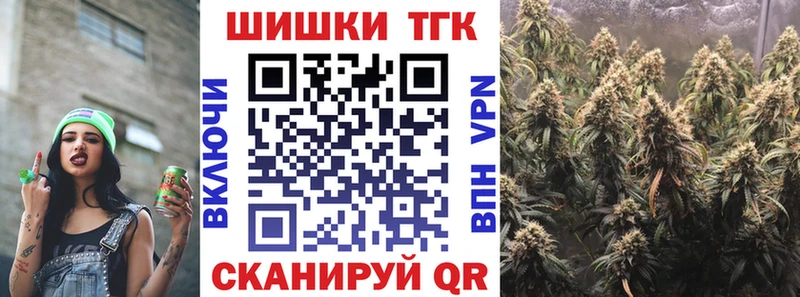 Купить закладки  Циолковский  Марихуана Amnesia 